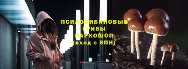 прущие крисы Вязники