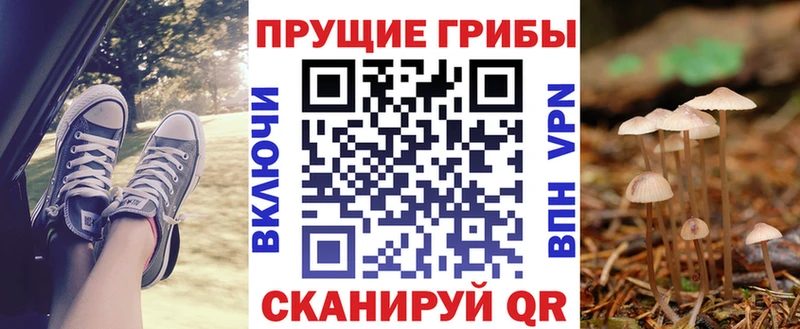 Псилоцибиновые грибы ЛСД  нарко площадка наркотические препараты  Владикавказ 